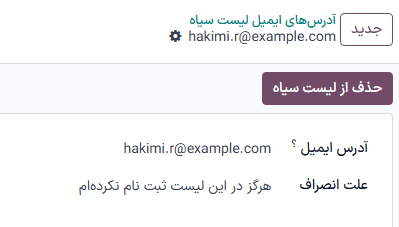 نمایی از فرم جزئیات تماس وارد شده به لیست سیاه در برنامه بازاریابی با ایمیل سازمانیار.