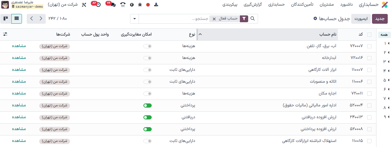 گروهبندی حسابها بر اساس نوع در حسابداری سازمانیار