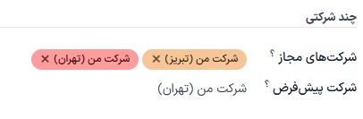 نمایی از فرم کاربر با تأکید بر قسمت چند شرکتی در سازمانیار.