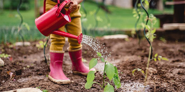  نرم‌افزار ERP کشاورزی