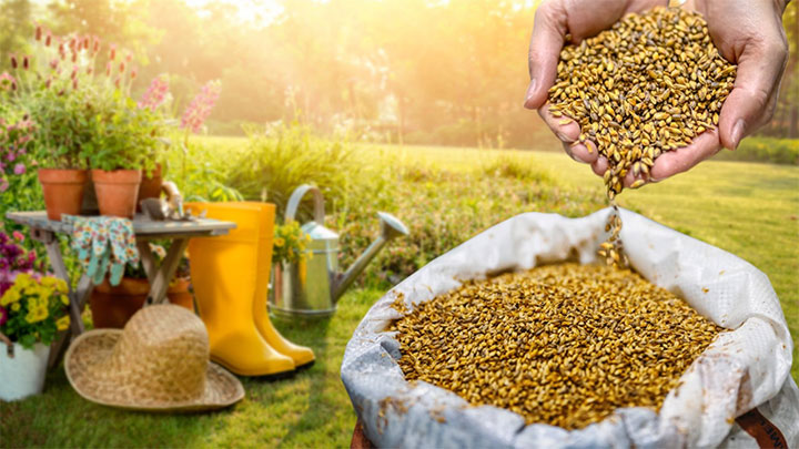 نرم‌افزار مدیریت فروشگاه کود و سم