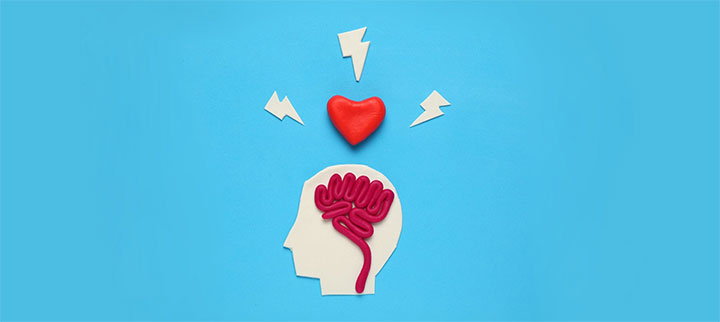 هوش هیجانی EQ مهم‌تر است یا هوش IQ؟