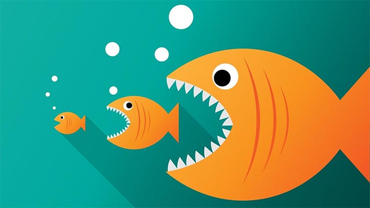 تاثیرات منفی کنیبالیزیشن بر سئو